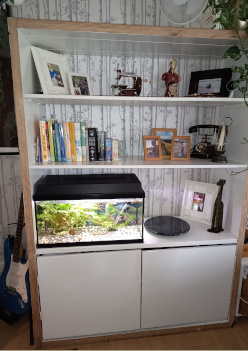 Strakke wandkast (met aquarium)